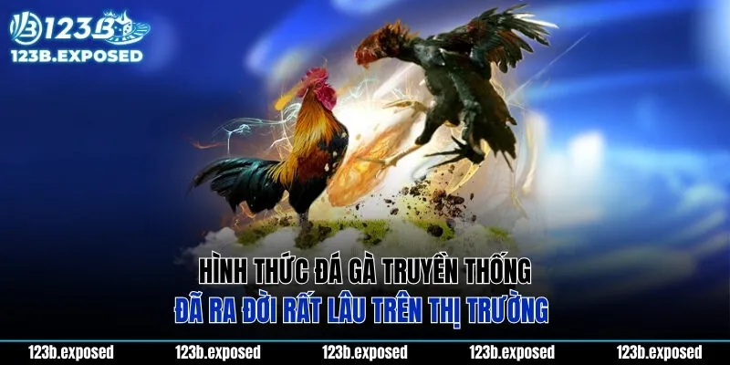 Hình thức đá gà truyền thống đã ra đời rất lâu trên thị trường 